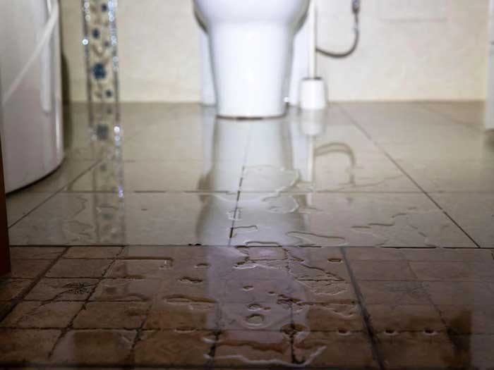 Bồn cầu sạch nhưng mùi thật sự đến từ thoát sàn