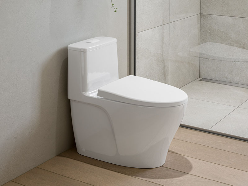 Các bước sử dụng bồn cầu đúng cách
