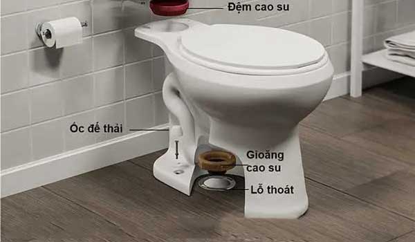 Cấu tạo phần thân bồn cầu