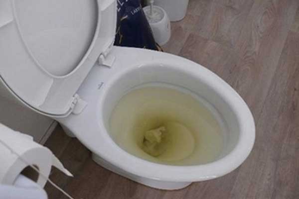 Đường ống thoát bồn cầu bị tắc một phần