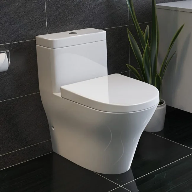 Hướng Dẫn Cách Sử Dụng Nhà Vệ Sinh Đúng Cách