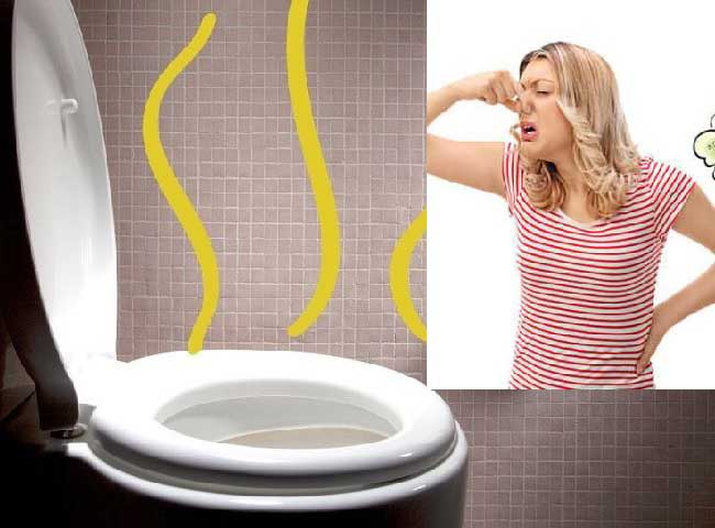 Bồn cầu chỉ bốc mùi hôi sau khi xả nước